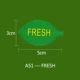 A51_FRESH