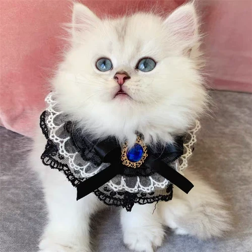 Кружевной слюнявчик, нагрудник, чокер с бантиком, милый шарф