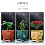 Sifang Purple Sand Flower Pot Base Base Creative Square Bonsai Green Plant Rich Tree Bamboo -Orchid Pot Специальное предложение