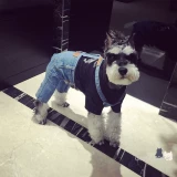 Крем, модные джинсы, комбинезон, Южная Корея