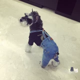 Крем, модные джинсы, комбинезон, Южная Корея