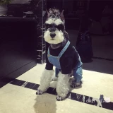 Крем, модные джинсы, комбинезон, Южная Корея