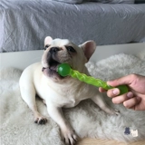 Крем, износостойкий прорезыватель, игрушка для тренировок, домашний питомец