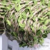 Mẫu giáo bố trí môi trường nguyên liệu tự nhiên góc DIY mô phỏng lá lá màu xanh lá cây trang trí các dải dây mây Cây hoa trang trí