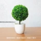 Темно -серый [Sakura Snowball Green]