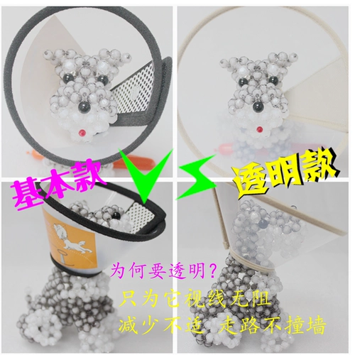 Элизабет Круг Бесплатный кот и собака Большой собачья обложка факты и укусить золотой мао ​​Тедди изучение красоты Tumpeare