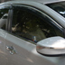 Áp dụng cho công chúng Chery Buick Kia Ford Hippocampus mặt trời hiện đại visor cửa sổ xe che mưa lông mày cửa sổ kính mưa Mưa Sheld