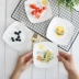 Bánh tấm sáng tạo bộ đồ ăn bằng gốm sứ phong cách Nhật Bản vuông xương tấm Xỉ tấm trái cây tấm lạnh đĩa món ăn - Đồ ăn tối