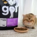 Canada được cấp phép chính thức đi! Chín loại thịt lành mạnh tự nhiên không có hạt thức ăn cho mèo thức ăn cho mèo vào thức ăn cho mèo 4 pound - Cat Staples thức ăn mèo catsrang Cat Staples