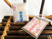 Академический опекун (синий/розовый, обратите внимание)