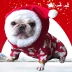 Pet Giáng sinh chó chó Giáng sinh trang phục mèo Giáng sinh trang phục mèo mèo luật mũ Teddy Giáng sinh - Quần áo & phụ kiện thú cưng