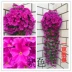 Mô phỏng Violet hoa giả lớn hoa cẩm tú cầu treo hoa lan nhựa hoa nụ hoa ban công mây trang trí đám cưới - Hoa nhân tạo / Cây / Trái cây