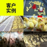 Pingwang Пластиковая сеть сетевой сети утечка сети сети курица Повышение гусиной питатель