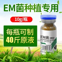 Посадка EM BACTERIIAIARE*10 филиалов