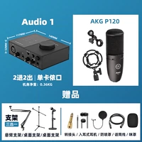 Audio1+P120 Полный набор подарков
