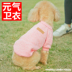 Teddy dog ​​quần áo mùa xuân ấm áp chó pet quần áo mèo cung cấp hơn gấu con hai chân thời trang mùa thu - Quần áo & phụ kiện thú cưng quần áo chó Quần áo & phụ kiện thú cưng