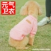 Teddy dog ​​quần áo mùa xuân ấm áp chó pet quần áo mèo cung cấp hơn gấu con hai chân thời trang mùa thu - Quần áo & phụ kiện thú cưng áo chó con Quần áo & phụ kiện thú cưng