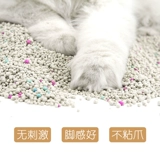 Purcell Plutoid Cat Sand Bless Particles