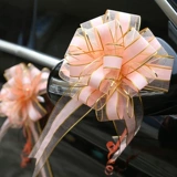 Свадебный свадебный свадебный свадебный вариант украшения снега снежного шлама -типа тянет цветочный рука, вытягивает цветочный свадебный дом, свадебный вагон