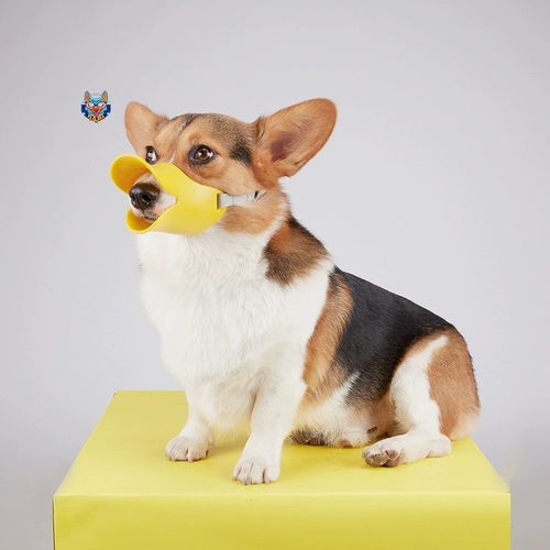 Собачья крышка для рта собачья маска для утки анти -сайте анти -анти -руловый корги сражается средние маленькие маленькие собаки набор собак