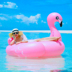 Vòng bơi flamingo dày nam và nữ người lớn cưỡi nước Unicorn con công nổi giường nổi hàng bơi vòng phao bơi cổ cho bé Cao su nổi