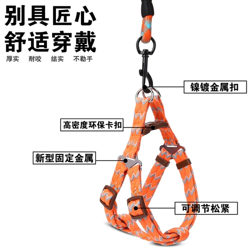 Собачья тяга Тедди ходячая собака веревка для собак щенка щенка