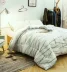 Bông chà nhám mùa đông là mùa xuân và mùa thu bởi sinh viên cốt lõi đơn giường đôi bông quilt dày thoáng khí ấm bộ đồ giường Quilts