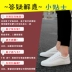 Giày nam mùa xuân giày vải thông thường giày phiên bản Hàn Quốc của xu hướng giày trượt ván thấp để giúp sinh viên hoang dã đôi giày nhỏ màu trắng thủy triều