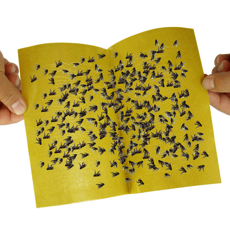 蝇纸抓除蚊灭苍蝇贴捕灭蝇神器粘蝇板药强力家用粘虫蚊子一扫光