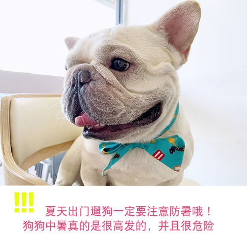 Geek Planet Summer Cooling Pet Ice Band Dog Fighting Ice Scarf Метод открытый наружный анти -летний ледяной полотенце