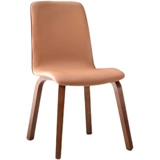 Северный твердый деревянный обеденный стул Домохозяйство Light Luxury Modern Stud