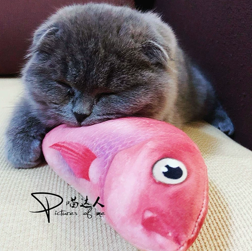 Мятная милая игрушка, подушка, рыбки для правильного прикуса, кот