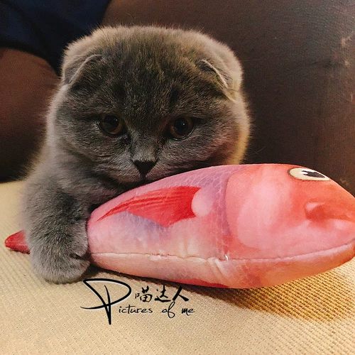 Мятная милая игрушка, подушка, рыбки для правильного прикуса, кот