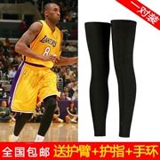 Vớ bóng rổ Quần legging Kobe quần bó gối đầu gối thể thao bảo vệ chân dài thiết bị hỗ trợ chạy nam ấm - Dụng cụ thể thao