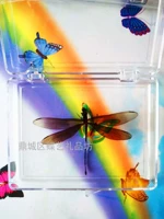 Прозрачный