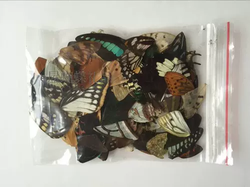 Образец для бабочки крылья, крылья бабочки, 100 таблеток 38 Юань бесплатная доставка.