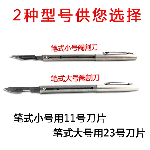 Зверя свиньи избивает нож свиньи меч -листья