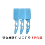 Зверя свиньи избивает нож свиньи меч -листья