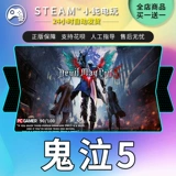 Steam подлинный PC National District CDK Devil May Cry 5 Devil May Cry 5 Action Little Pure Game