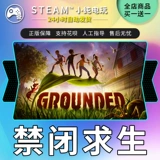 Steam подлинный ПК китайский игровой группировку Запрещенное выживание становится приключением злодея