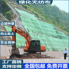 Геотекстиль 园林绿化无纺布土工程布草坪绿化边坡盖土防尘工地护坡保湿覆盖膜