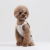 Mùa xuân và mùa hè 2019 mới công cụ sọc bib quần áo chó Hàn Quốc trang phục thú cưng đích thực 丨 Sniff - Quần áo & phụ kiện thú cưng