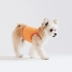 Xuân 2019 mới kẹo màu sọc áo vest chó vest Hàn Quốc trang phục thú cưng đích thực 丨 Sniff - Quần áo & phụ kiện thú cưng