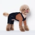 Thu đông 2018 mới quần áo thú cưng nhung kẻ sọc dụng cụ quần áo chó bib Sniff | Hàn Quốc đích thực - Quần áo & phụ kiện thú cưng quần áo cho chó con Quần áo & phụ kiện thú cưng