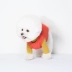2018 mới trang phục mùa đông thú cưng chải da thân thiện với chó áo len cao cổ áo Sniff | Hàn Quốc đích thực - Quần áo & phụ kiện thú cưng Quần áo & phụ kiện thú cưng