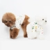 Mùa xuân và mùa hè sơn giật gân áo thun chó quần áo Teddy Hàn Quốc quần áo thú cưng đích thực | Sniff - Quần áo & phụ kiện thú cưng