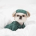 Thu đông 2018 mới cho thú cưng ăn mặc đồ ngủ kẻ sọc quần áo chó (không có mặt nạ mắt) | Sniff - Quần áo & phụ kiện thú cưng Quần áo & phụ kiện thú cưng