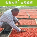 Купить 1 кот фунтов стерлингов Wolfberry, аутентичный Ningxiayuan Production Wolfberry Избегайте мыть
