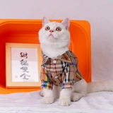 Кошачья одежда Summer Thin Tide Brand Brand Teddy Dog маленькая рубашка для собак анти -хаор сетка