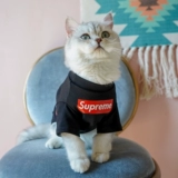 Tide, летний тонкий шнурок-держатель, футболка, популярно в интернете